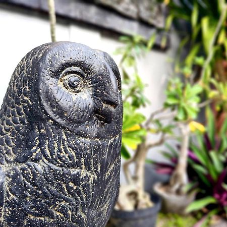 Panda Lumbung Bed & Breakfast ซานูร์ ภายนอก รูปภาพ