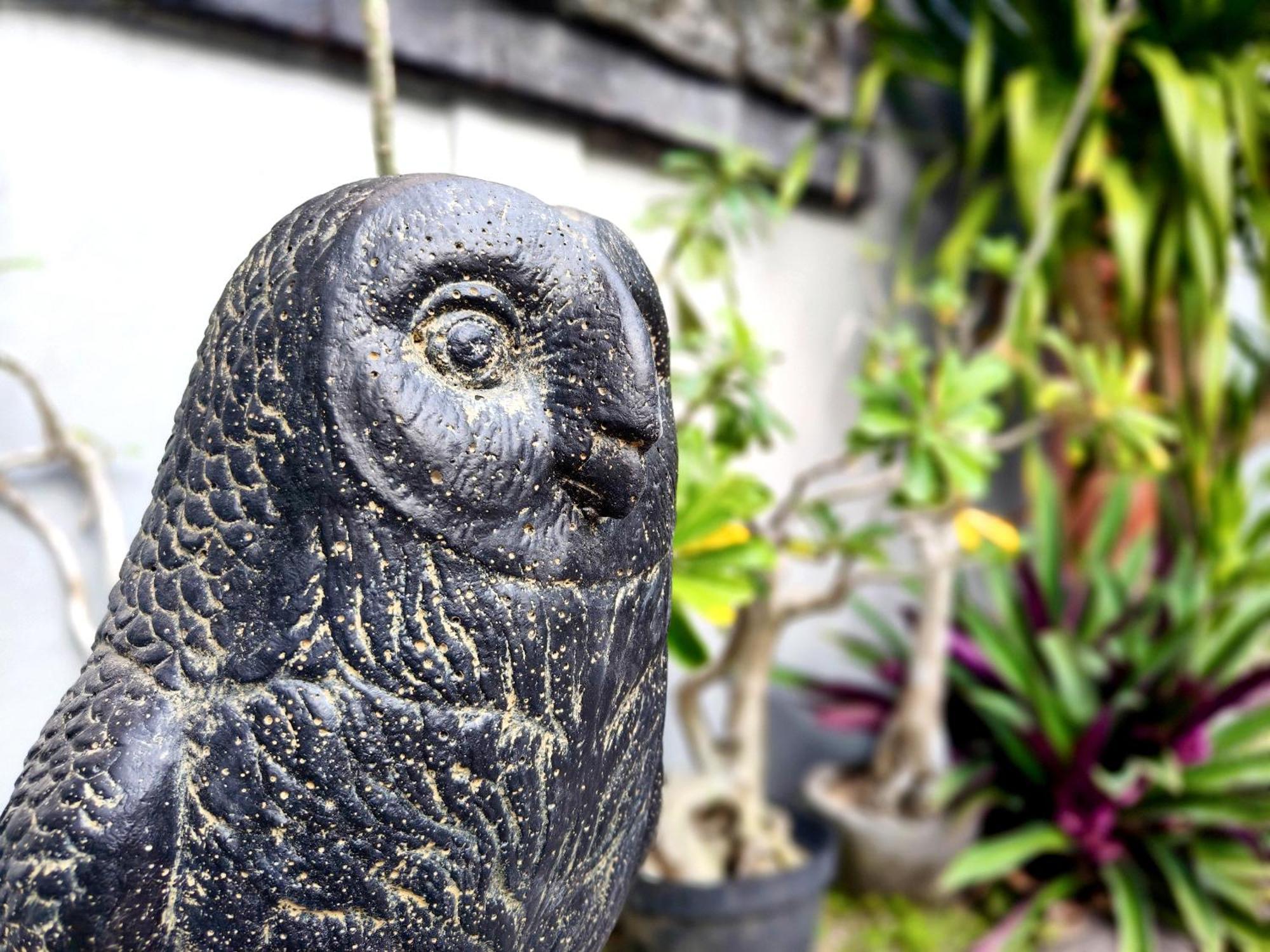 Panda Lumbung Bed & Breakfast ซานูร์ ภายนอก รูปภาพ